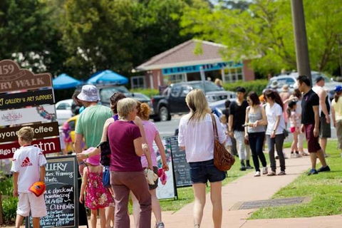 Tamborine Mountain Daily Service, Treetop Challenge And Thunderbird Park - Accommodation Mount Tamborine 6
