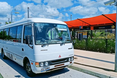 Tamborine Mountain Daily Service, Treetop Challenge And Thunderbird Park - Accommodation Mount Tamborine 10