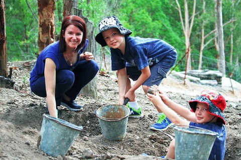 Tamborine Mountain Daily Service, Treetop Challenge And Thunderbird Park - Accommodation Mount Tamborine 8