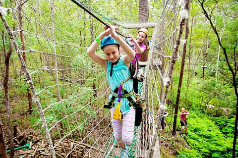 Tamborine Mountain Daily Service, Treetop Challenge And Thunderbird Park - Accommodation Mount Tamborine 4