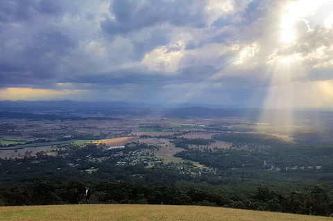 Tamborine Mountain Daily Service, Treetop Challenge And Thunderbird Park - Accommodation Mount Tamborine 3