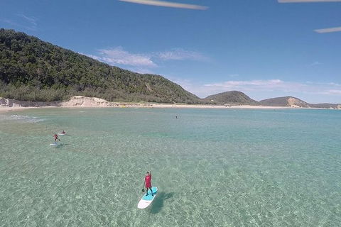 Stand Up Paddle Double Island Lesson - Accommodation Mount Tamborine 11