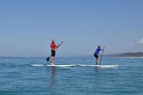 Stand Up Paddle Double Island Lesson - Accommodation Mount Tamborine 9