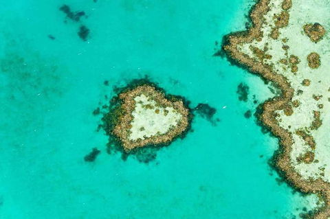 Whitsundays Seaplane Tours - Accommodation Mount Tamborine 3