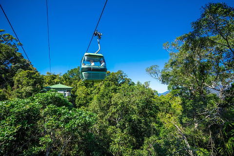 Kuranda Scenic Railway Day Trip From Palm Cove - Accommodation Mount Tamborine 3