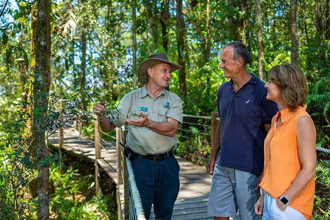 Kuranda Scenic Railway Day Trip From Palm Cove - Accommodation Mount Tamborine 4