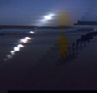 Full Moon Horse Ride at Rainbow Beach - Accommodation Mount Tamborine