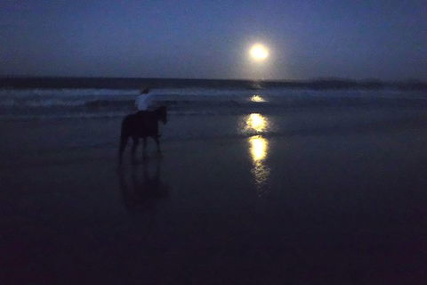 Full Moon Horse Ride At Rainbow Beach - Accommodation Mount Tamborine 0