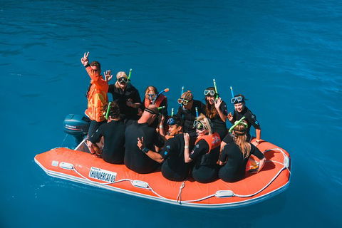 Whitehaven Beach And Hill Inlet Lookout Full-Day Snorkeling Cruise By High-Speed Catamaran - Accommodation Mount Tamborine 11