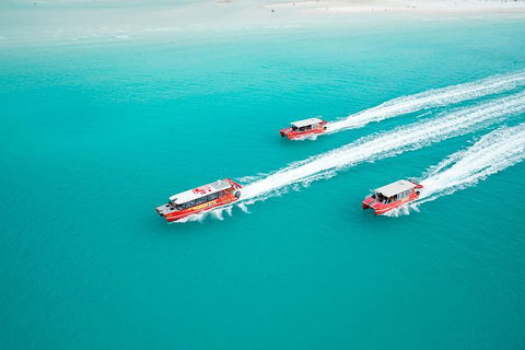 Whitehaven Beach And Hill Inlet Lookout Full-Day Snorkeling Cruise By High-Speed Catamaran - Accommodation Mount Tamborine 5