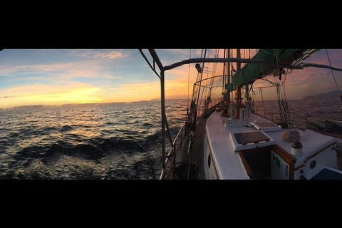 Whitsundays Sunset Sailing Cruise - Accommodation Mount Tamborine 3