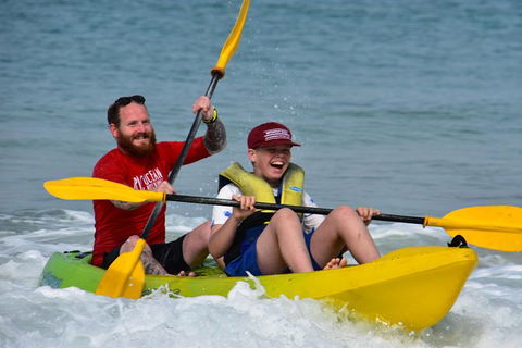 Half-Day Kayak With Dolphins And 4WD Beach Drive From Rainbow Beach - Accommodation Mount Tamborine 8