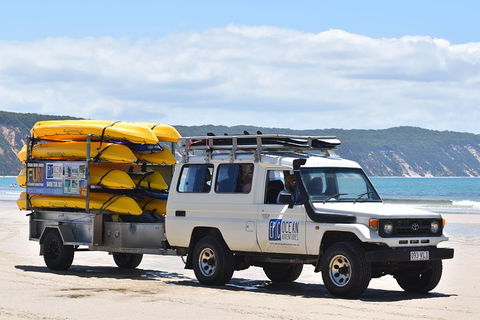 Half-Day Kayak With Dolphins And 4WD Beach Drive From Rainbow Beach - Accommodation Mount Tamborine 13
