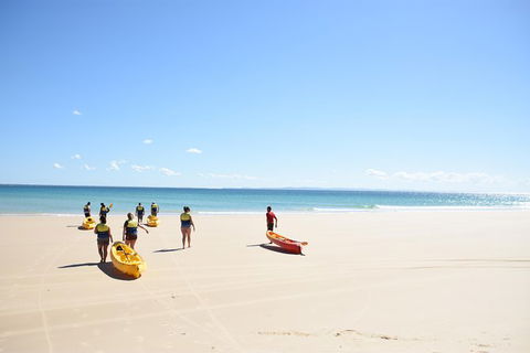 Half-Day Kayak With Dolphins And 4WD Beach Drive From Rainbow Beach - Accommodation Mount Tamborine 10