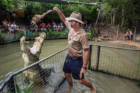 Hartley\'s Crocodile Adventures Day Trip From Palm Cove - Accommodation Mount Tamborine 1