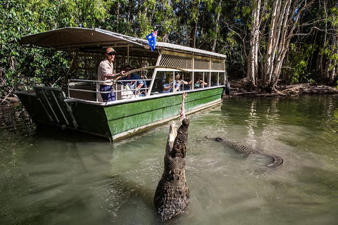 Hartley\'s Crocodile Adventures Day Trip From Palm Cove - Accommodation Mount Tamborine 2