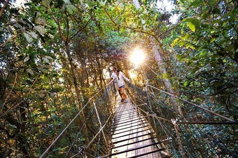 O'Reilly's Lamington National Park And Treetop Canopy Tour - Accommodation Mount Tamborine 0