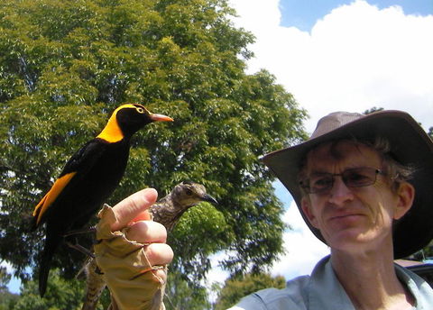 O'Reilly's Lamington National Park And Treetop Canopy Tour - Accommodation Mount Tamborine 4