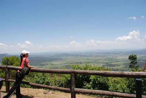 O'Reilly's Lamington National Park And Treetop Canopy Tour - Accommodation Mount Tamborine 6