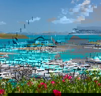 Three Island Guided Tour - Accommodation Mount Tamborine