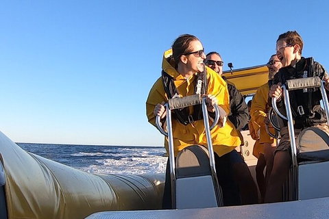 Noosa Oceanrider - Thrill Ride - Accommodation Mount Tamborine 5