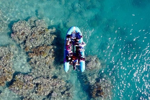 Glass-bottom Boat Tour With Whitehaven Beach - Accommodation Mount Tamborine 0