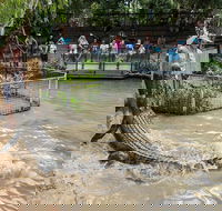 Hartley's Crocodile Adventures General Entry Ticket - Accommodation Mount Tamborine
