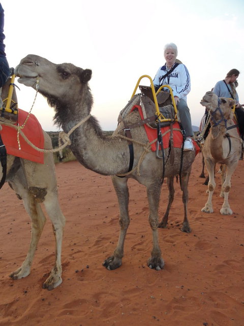 Uluru Small-Group Tour By Camel At Sunrise Or Sunset - Accommodation Mount Tamborine 2