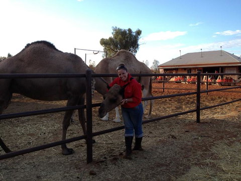 Uluru Small-Group Tour By Camel At Sunrise Or Sunset - Accommodation Mount Tamborine 21