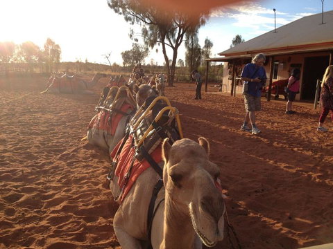 Uluru Small-Group Tour By Camel At Sunrise Or Sunset - Accommodation Mount Tamborine 22