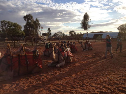 Uluru Small-Group Tour By Camel At Sunrise Or Sunset - Accommodation Mount Tamborine 23