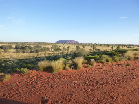 Uluru Small-Group Tour By Camel At Sunrise Or Sunset - Accommodation Mount Tamborine 9