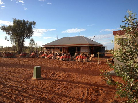 Uluru Small-Group Tour By Camel At Sunrise Or Sunset - Accommodation Mount Tamborine 20