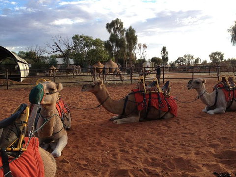 Uluru Small-Group Tour By Camel At Sunrise Or Sunset - Accommodation Mount Tamborine 24