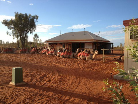 Uluru Small-Group Tour By Camel At Sunrise Or Sunset - Accommodation Mount Tamborine 19