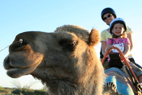 Uluru Small-Group Tour By Camel At Sunrise Or Sunset - Accommodation Mount Tamborine 3