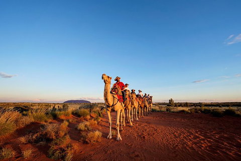 Uluru Small-Group Tour By Camel At Sunrise Or Sunset - Accommodation Mount Tamborine 26