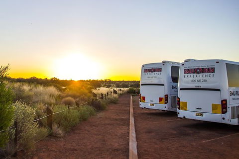 Uluru And Kata Tjuta Experience With BBQ Dinner - Accommodation Mount Tamborine 4