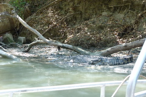 Kakadu Full-Day Tour From Darwin With Lunch - Accommodation Mount Tamborine 2