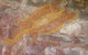 Kakadu Full-Day Tour From Darwin With Lunch - thumb 4
