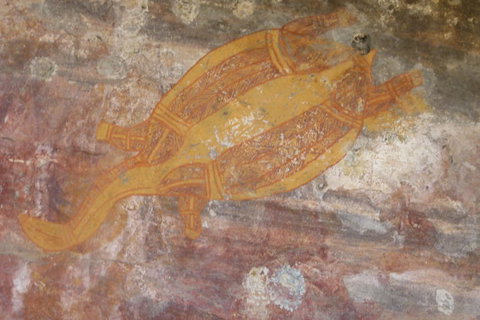 Kakadu Full-Day Tour From Darwin With Lunch - Accommodation Mount Tamborine 4