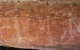 Kakadu Full-Day Tour From Darwin With Lunch - thumb 1