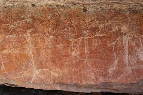 Kakadu Full-Day Tour From Darwin With Lunch - Accommodation Mount Tamborine 1