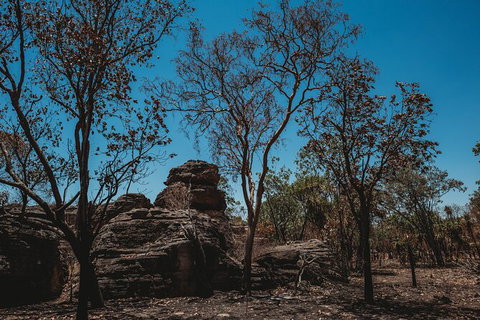 Kakadu Full-Day Tour From Darwin With Lunch - Accommodation Mount Tamborine 6