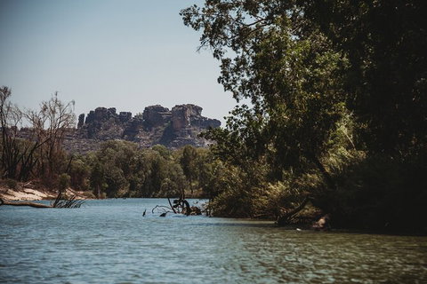 Kakadu Full-Day Tour From Darwin With Lunch - Accommodation Mount Tamborine 8