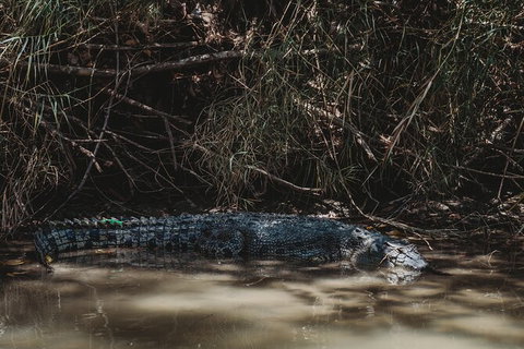 Kakadu Full-Day Tour From Darwin With Lunch - Accommodation Mount Tamborine 13