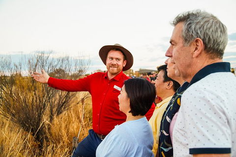 Uluru (Ayers Rock) Sunset With Outback Barbecue Dinner And Star Tour - Accommodation Mount Tamborine 22