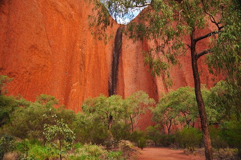 Uluru Sunrise And Guided Base Walk - Accommodation Mount Tamborine 14