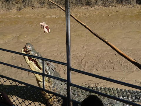 Litchfield And Jumping Crocodiles Full Day Trip From Darwin - Accommodation Mount Tamborine 5