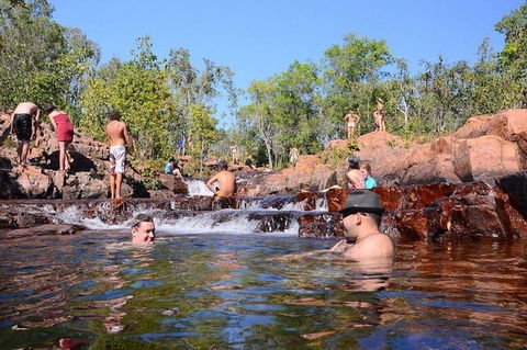 Litchfield And Jumping Crocodiles Full Day Trip From Darwin - Accommodation Mount Tamborine 0